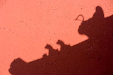 美国老奶奶得到六台OLED版NS 背后原因又暖心了